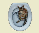 WC Känguru